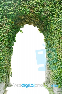 Entrance Made Of Green Grass Stock Photo