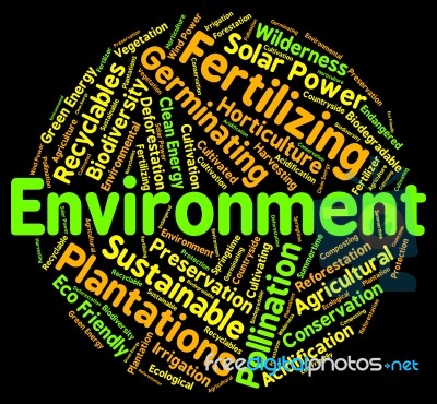 Environment Word Means Eco Systems And Ecosystem Stock Image