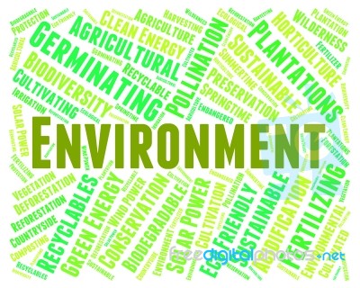 Environment Word Shows Earth Friendly And Eco-friendly Stock Image