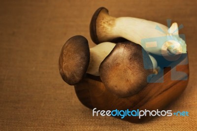 Eryngii Mushroom Stock Photo