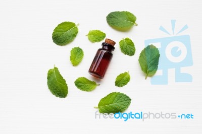 Essentail Oil With Fresh Mint Leaves Stock Photo