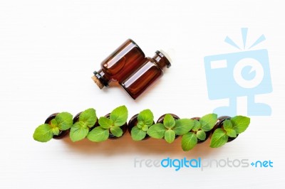 Essential Oil With Fresh Mint Leaves Stock Photo