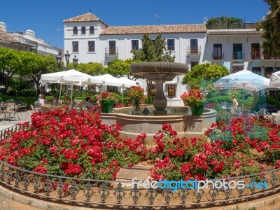 Estepona, Andalucia/spain - May 5 : Flower Square In Estepona Sp… Stock Photo