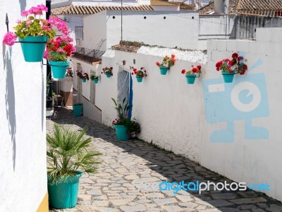 Estepona, Andalucia/spain - May 5 : Flowers In A Street  In Este… Stock Photo