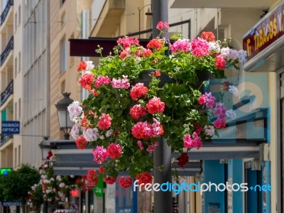 Estepona, Andalucia/spain - May 5 : Flowers In A Street  In Este… Stock Photo