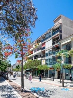 Estepona, Andalucia/spain - May 5 : Street Scene In Estepona Spa… Stock Photo