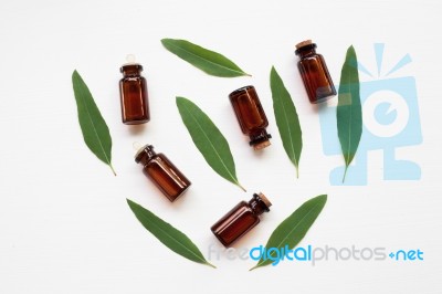 Eucalyptus Oil Bottle With  Leaves On White Background Stock Photo