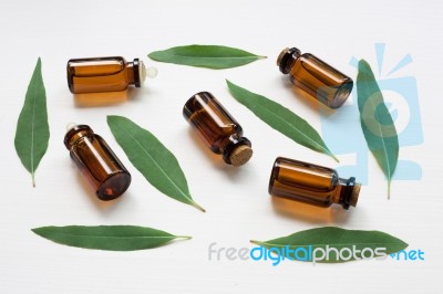 Eucalyptus Oil Bottle With  Leaves On White Background Stock Photo