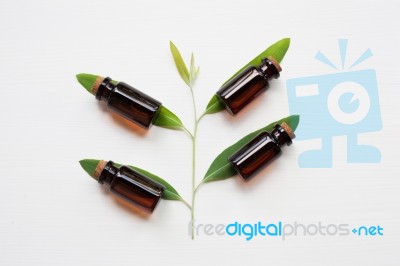 Eucalyptus Oil Bottle With  Leaves On White Background Stock Photo