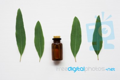 Eucalyptus Oil Bottle With  Leaves On White Background Stock Photo