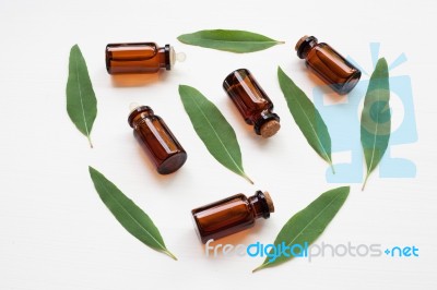 Eucalyptus Oil Bottle With  Leaves On White Background Stock Photo