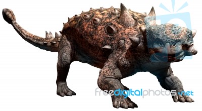 Euoplocephalus Stock Image