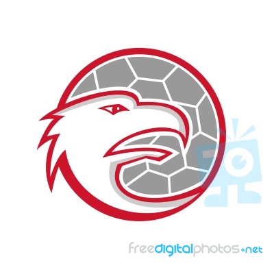 European Handball Eagle Mascot Stock Image