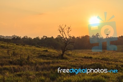 Evening At Khao Yai Stock Photo