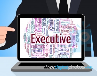 Executive Word Indicates Director General And Boss Stock Image