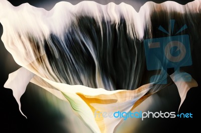 Exotic Shape Color Abstract Background Stock Photo