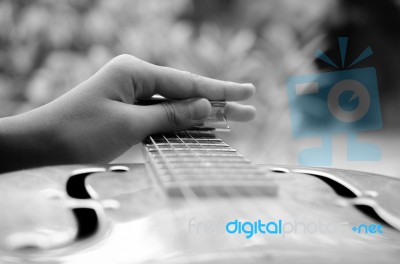 Expert Musician Plays A Dobro Guitar Stock Photo