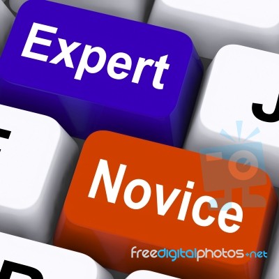 Expert Novice Keys Show Beginners And Experts Stock Image