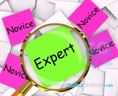 Expert Novice Post-it Papers Mean Experienced Or Inexperienced Stock Image