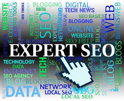 Expert Seo Shows Search Engines And Ability Stock Image