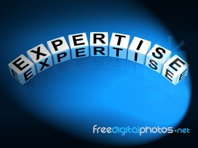 Expertise Dice Mean Expert Skills Training And Proficiency Stock Image