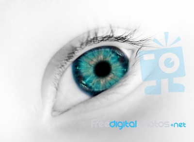 Eye Blue Electric Stock Photo