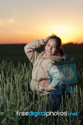 Fabulous Stock Photo