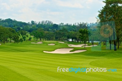 Fairway In Golf Course  Stock Photo