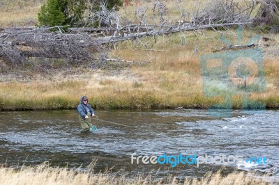 Fairy Creek, Yellowstone/usa - September 28 : Fly Fishing In Fai… Stock Photo