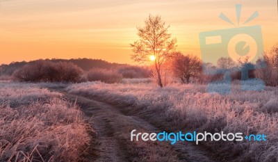 Fairy Frosty Winter Morning Stock Photo