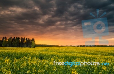 Fairy Spring Sunrise Stock Photo