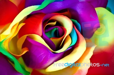 Fake Rose Flower Stock Photo