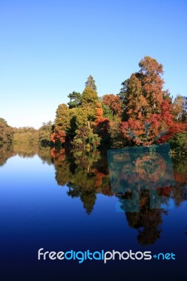 Fall Stock Photo