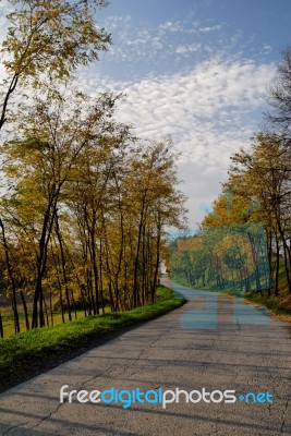 Fall Colors In Nature Stock Photo