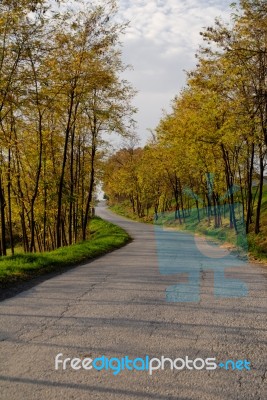 Fall Colors In Nature Stock Photo