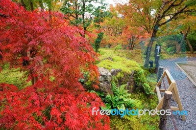 Fall Foliage At Eikando Temple, Kyoto Stock Photo