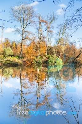 Fall Forest With Mirror Image In Water Stock Photo