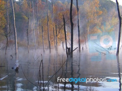 Fall Lake Trees Stock Photo