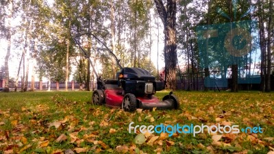 Fall Leaves And Yard Work Stock Photo