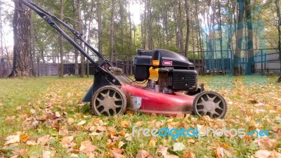 Fall Leaves And Yard Work Stock Photo