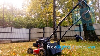 Fall Leaves And Yard Work Stock Photo