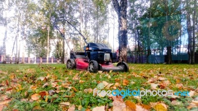 Fall Leaves And Yard Work Stock Photo