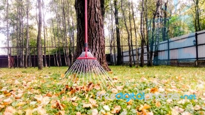 Fall Leaves And Yard Work Stock Photo