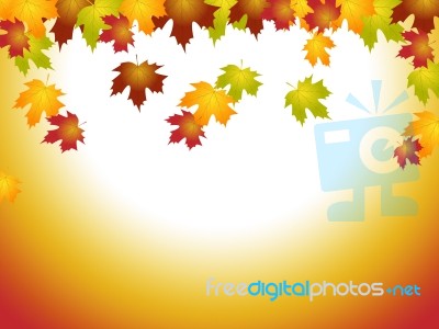 Fall Leaves Means Text Space And Blank Stock Image