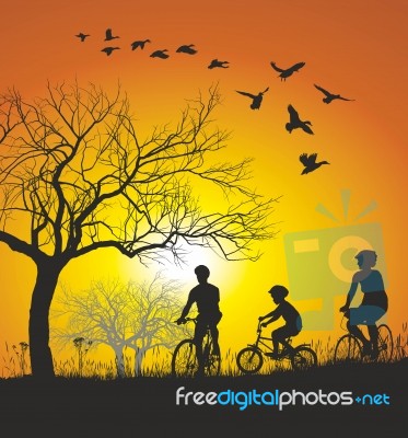 Family Cycling In The Countryside Stock Image