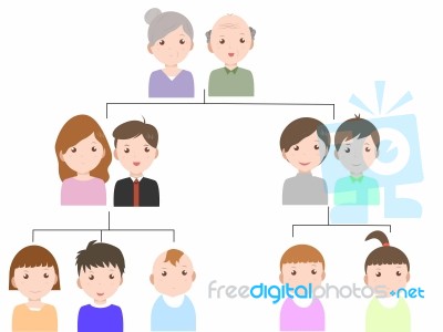 Family Tree Stock Image