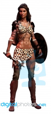 Fantasy Amazon Warrior Stock Image