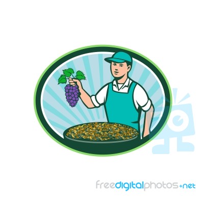 Farm Boy Holding Grapes Bowl Raisins Oval Retro Stock Image