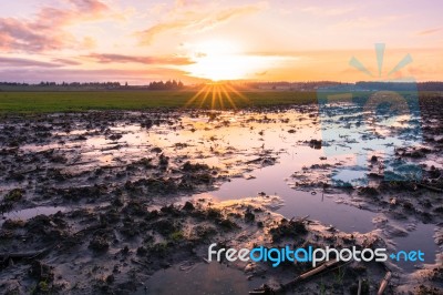 Farm Fields Stock Photo