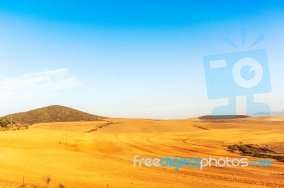 Farm Fields Western Cape, South Africa Stock Photo